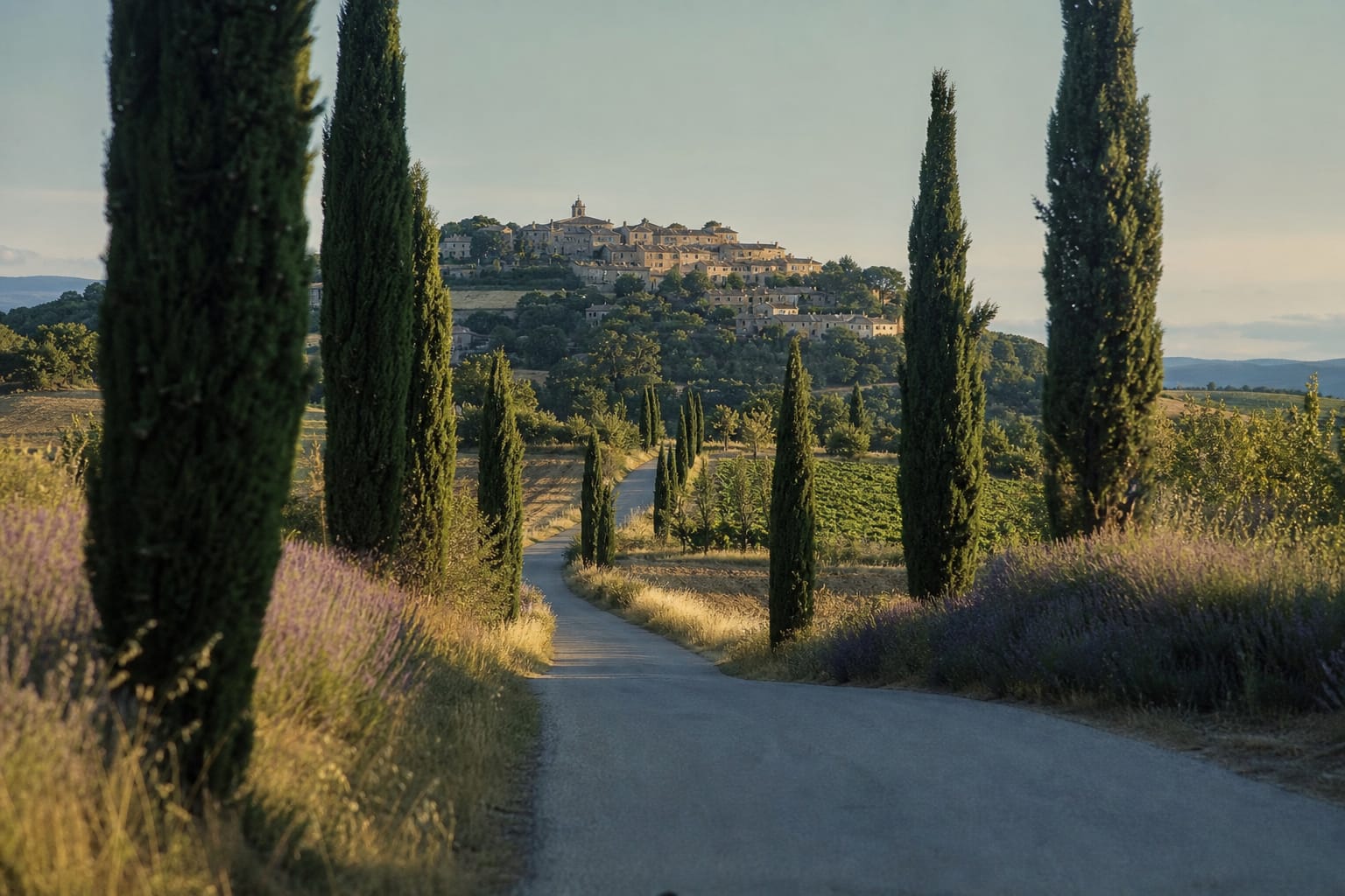 Route bordée de cyprès et de lavande menant à un village perché de Provence