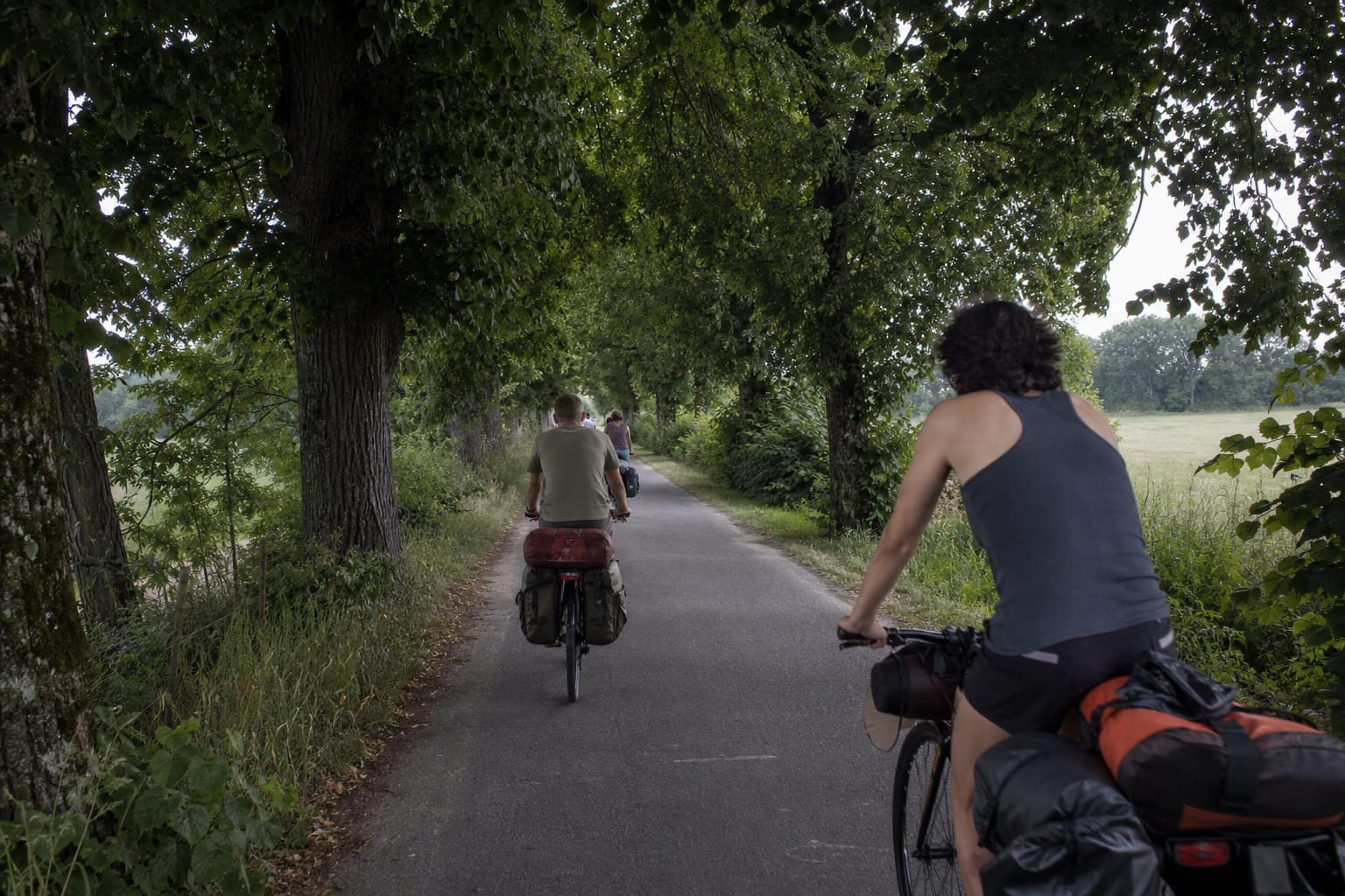 Cyclistes chargés sur une voie verte bordée d'arbres
